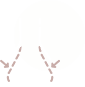 Enhancing Nose Shape